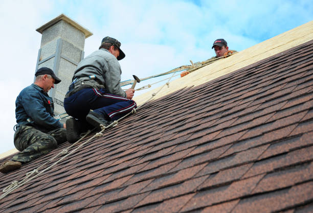 Best New Roof Installation  in Leakesville, MS