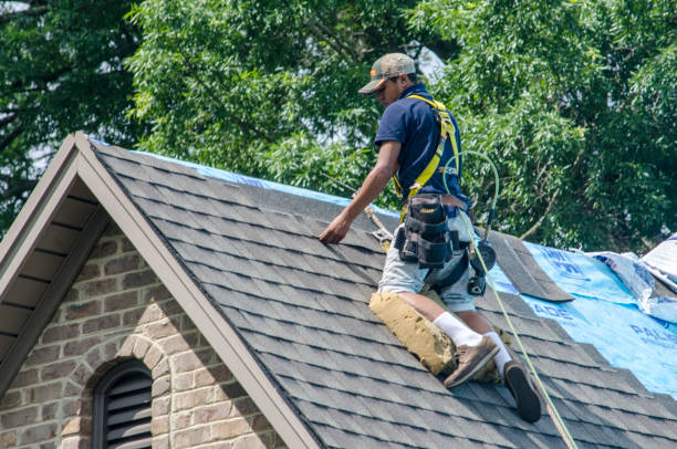 Best Best Roofing Contractors  in Leakesville, MS